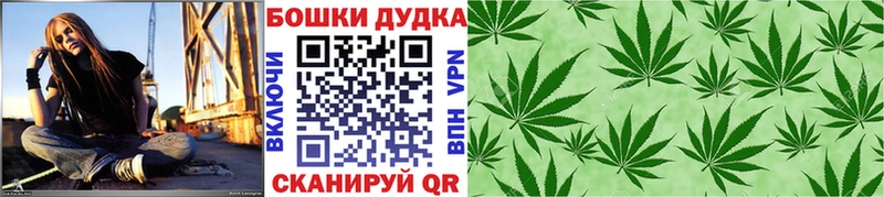 Сколько стоит Хабаровск Псилоцибиновые грибы  Alpha-PVP  Меф  Марихуана 
