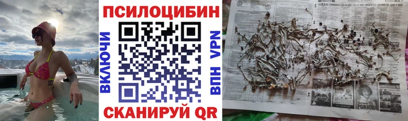 Галлюциногенные грибы Cubensis  Хабаровск 